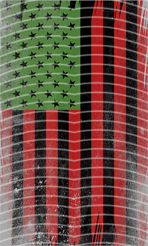 Black History in 1865-LY 591